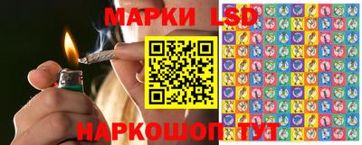 соль ск Новокубанск