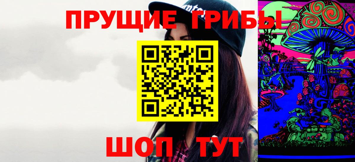 Галлюциногенные грибы Psilocybe Сыктывкар