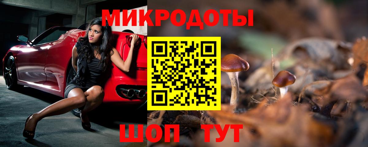 где можно купить наркотик  Псилоцибиновые грибы Psilocybine cubensis  Галлюциногенные грибы прущие грибы  Вход с VPN  Сыктывкар 